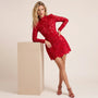 Velvet Shadow Lace Mini Dress RedS